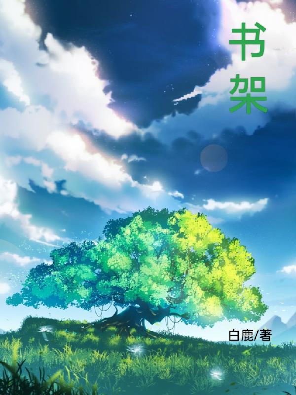 书架书架